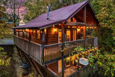 Image de Free Dollywood Tix/Views/DogFriendly