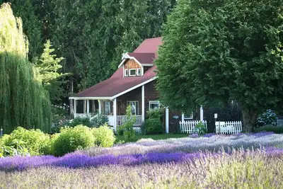 Image de Purple Haze Lavender Farm