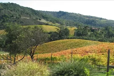 Image de Wine Country Gem, Vignobles & Vallées, piscine / spa, véritable évasion