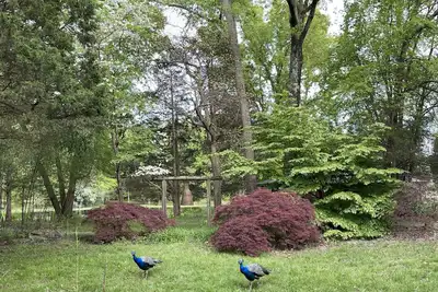 Image de Private lake house garden resort