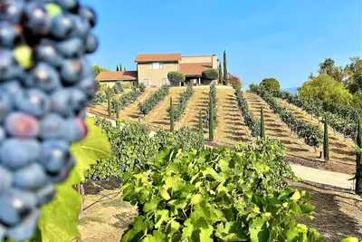 Image de Via Vino Vineyard Estate   -   Hot Air Balloon Views