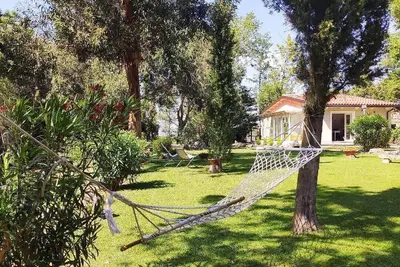 Memento - house surrounded by greenery
