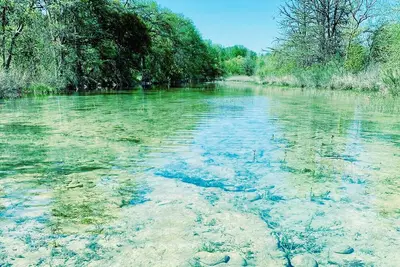 Image de Stargazer Cabin, Beautiful cozy cabin on 65 acres, Frio River access!