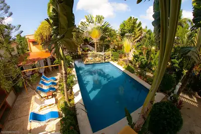 Image de Cozy Apartament Family Two Rooms (5) Residence Tropical Garden