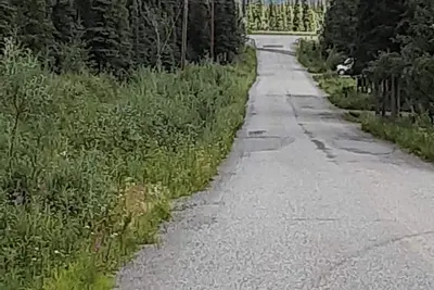 Image de Alaska Me Away