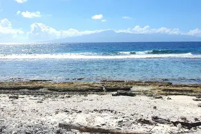 Image de Villa Polynésienne bord de mer - Moorea Lodge
