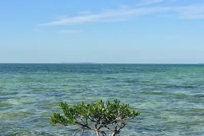 Image de Beautiful 2 bedroom Summer Sea Condo