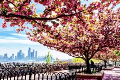 Image de Big Nyc Views 15 min Times Sq West Ny, Nj