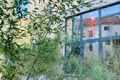 Image de Le Grand Cheval Fou