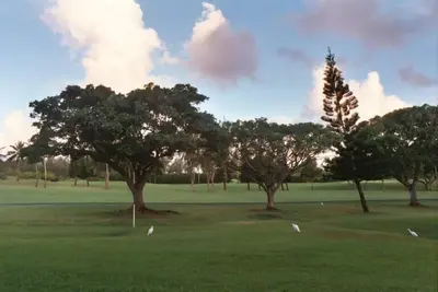 Image de Turtle Bay Hale Mokulani by RedAwning