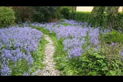Image de Charming Fenit Residence on the Wild Atlantic Way