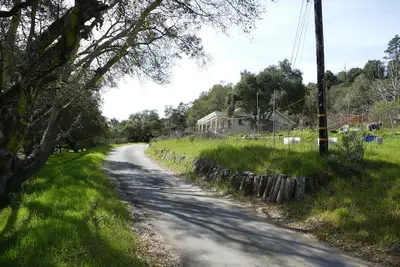 Image de And now for something completely different