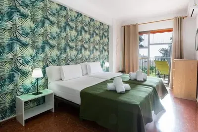 Image de MONKÓ Cactus In The Center Of Torremolinos