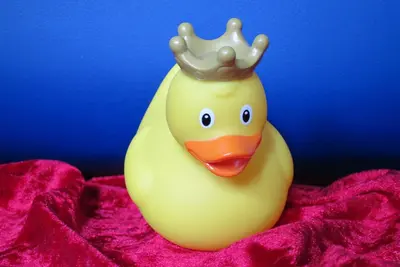 Image de Central calme appartement, 2 pièces