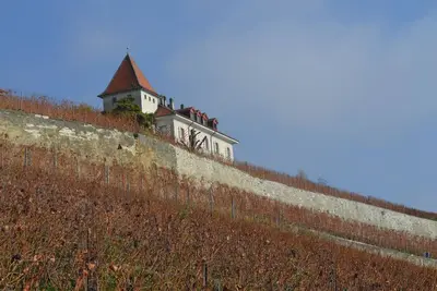 Image de Castle in the middle of the vineyards (Flat for 2 - 4)