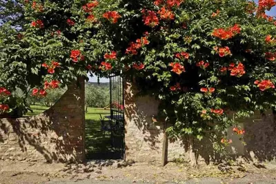 Image de Appartement de vacances Montespertoli pour 1 - 4 personnes avec 2 chambres Ă coucher - Ferme