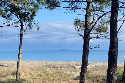Image de Location - toute l'année Plage de la Marana Borgo