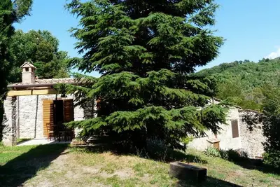 Image de Appartement de vacances Pomaia pour 1 - 7 personnes avec 3 chambres Ă coucher - Appartement de vacan