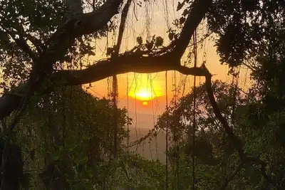 Image de Jungle, waterfall, sea view, 5 minutes from beach, lap pool & gym. Bird watching