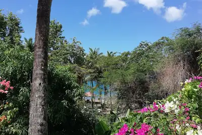 Image de Gite Bougainvillier - Direct Access To The Beach - 6 People