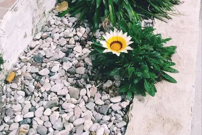Image de Green Garden Cottage Anna & Panagiotis