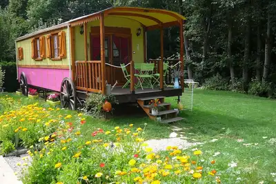 Image de Miss Bohemia