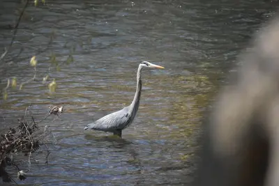 Image de Orlando’s Finest Family Suite