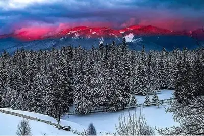 Image de Unique epic Chalet - vintage furniture -  \" Longing Realms \"