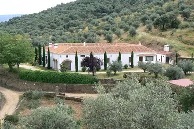 Image de Manor house among cypresses and olive trees