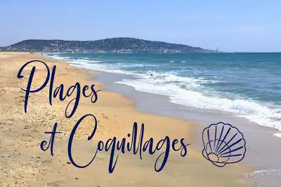 Image de Plages Et Coquillages