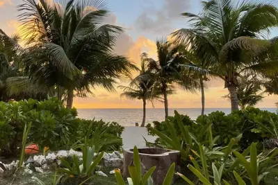 Image de Amazing Snorkeling and Swimming 200 Feet from the Back Door