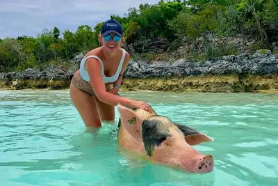 Image de Exuma Point Villas -Swimming Pigs Resort- Green Lignam Vitae