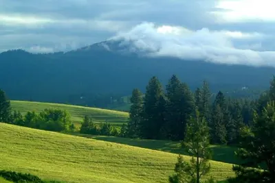 Image de 2 Rooms: Quiet queen & twin rooms on an alpaca farm for 2-4 guests