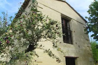 Le Mazet authentique à Uzès, Clim, Piscine, Jardin, wifi, ideal couple.