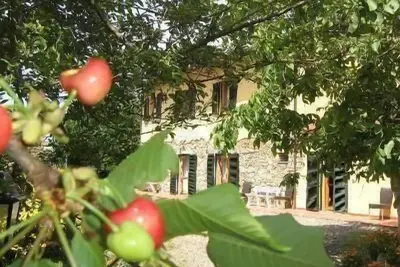 Image de Appartement de vacances Santa Luce pour 1 - 3 personnes avec 1 chambre à coucher - Ferme