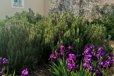 Image de Villa de 140 M2 dans lotissement au pied du luberon