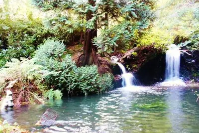 Image de Stunning panoramic views & 2 acre woodland with 5 pools, waterfalls & 17 benches