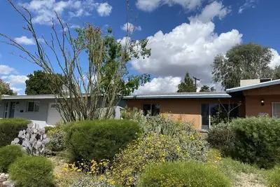 Image de My Largest Nest