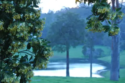 Image de Hampshire Farmhouse - beautifully appointed home in Wa's Southern Forests