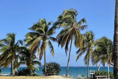 Image de Easy Breezy @ The Reef Condominiums