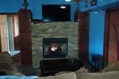 Image de Tree La City