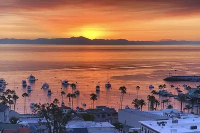 Image de Eagle’s Nest | Voted Best Panoramic View in Avalon