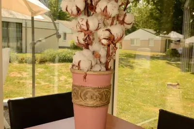 Image de Vakantie Zuid Limburg