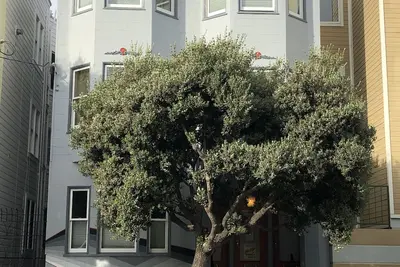 Image de Centrally located: restaurants, shopping, transport, convenience, walking