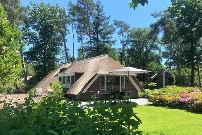 Sprielderbosch 45 Luxury holiday home on a holiday park in the Veluwe