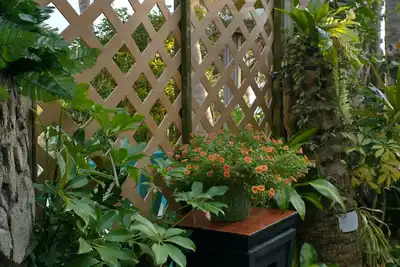 Image de Beach bungalow.