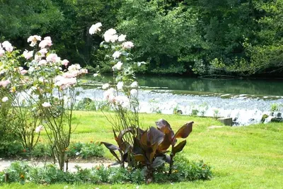 Image de Calme et repos sur île privée au cadre bucolique.