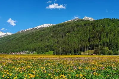 Chalet Breithorn with Mountain View - C
