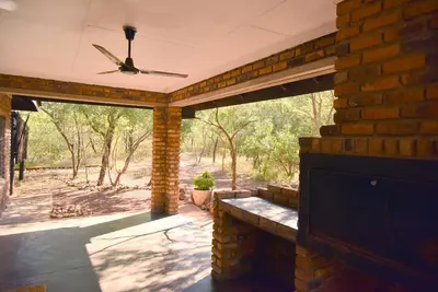 Image de A gem in the African Bush