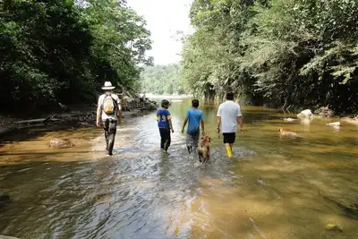 Image de Grand Selva Lodge & Tours